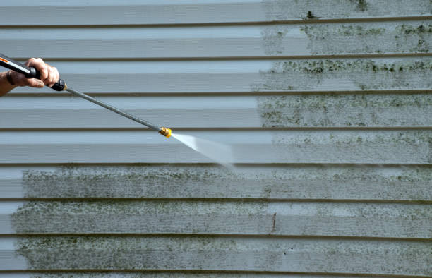 Best Attic Mold Removal  in Centre Grove, NJ