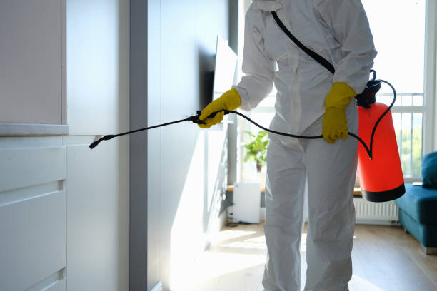 Best Mold Removal and Inspection  in Centre Grove, NJ