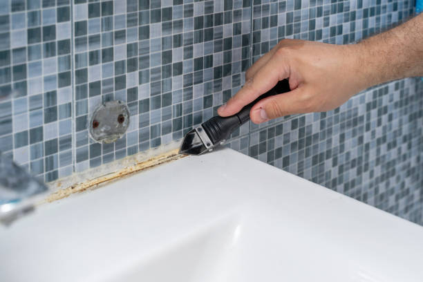 Best Certified Mold Removal  in Centre Grove, NJ