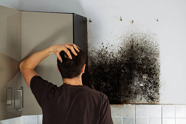 Best Fast Mold Removal  in Centre Grove, NJ